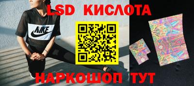 прущие грибы Кулебаки