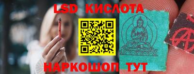 прущие грибы Кулебаки