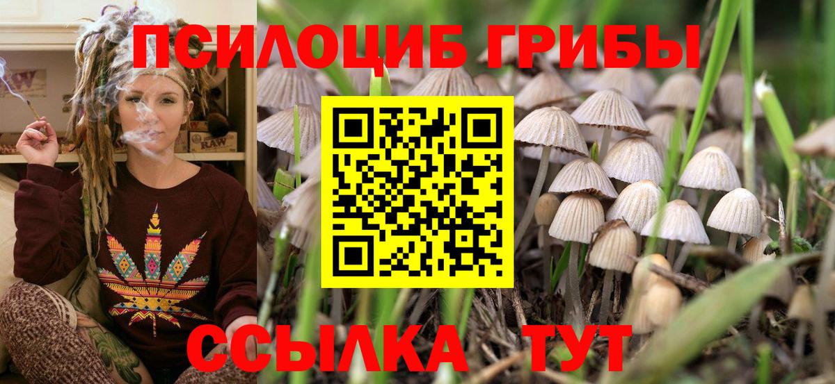 Конопля Ижевск