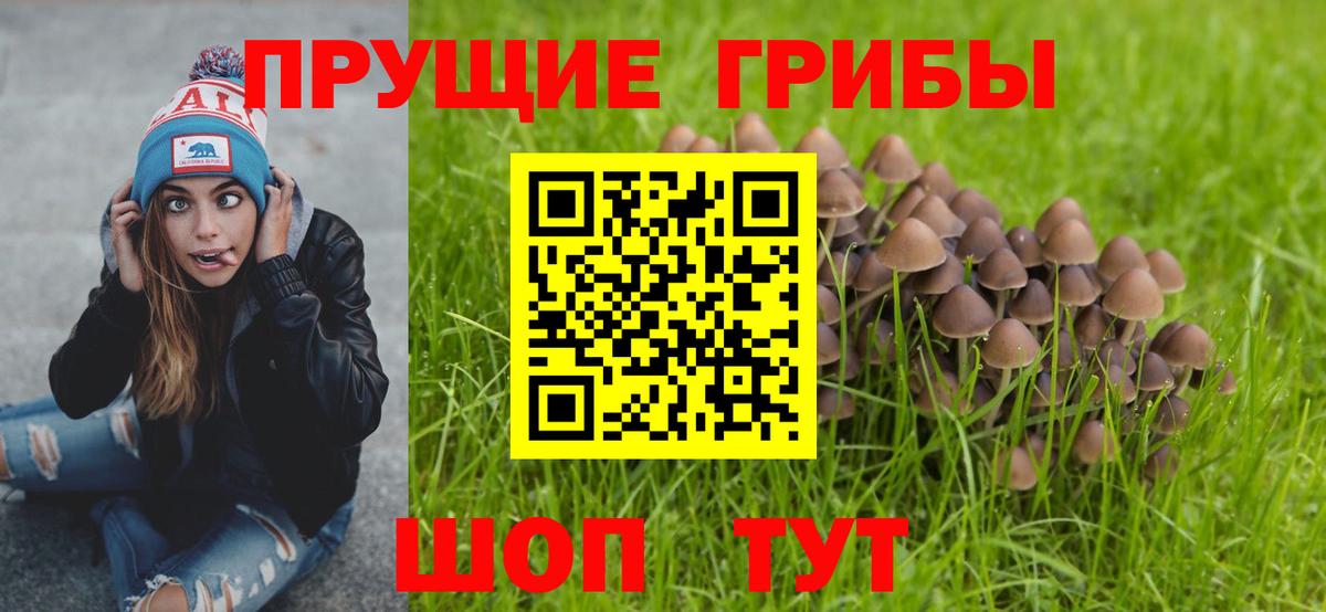 Галлюциногенные грибы Psilocybe Ижевск