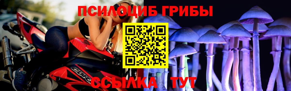 Ижевск  Псилоцибиновые грибы прущие грибы  Вход с VPN 